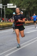 D2644513