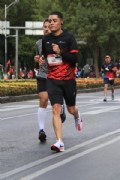 D2644816