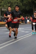 G2643568