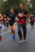 G2644221