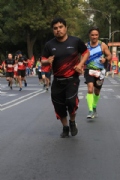 G2644246