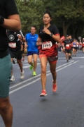 G2644558