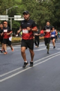 G2644560