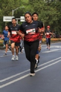 H2644817