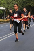 H2645131