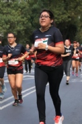 L2643442