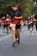 L2644294