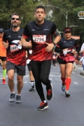 L2644506