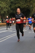 M2644179