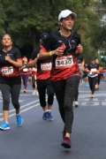 M2644394