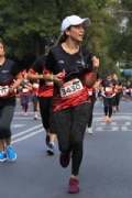 M2644411