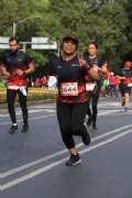 T2643787