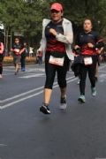 T2644834