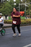 V2644434