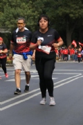 W2644636