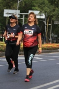 Y2643524