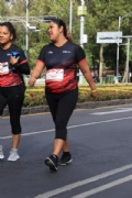 Y2644782
