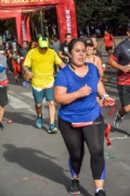 F2646070