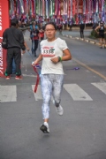 G2646591