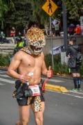 H2646370
