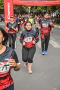 L2646154