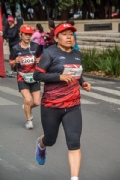L2646619