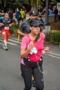 M2645268