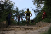 T2697775