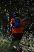 L2731341