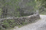 Y2730888
