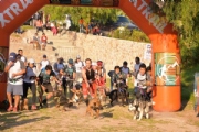 C2730013