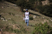 C2729256