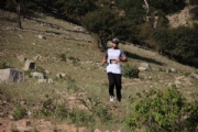 C2729380