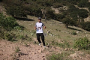 C2729390