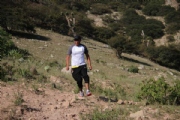 C2729410