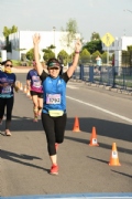 V2733231