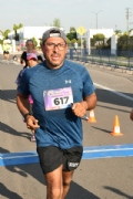 W2733393