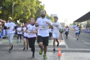 Y2804951
