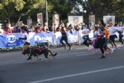 T2801531