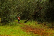 I2856827