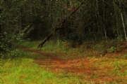 K2857164
