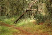 P2855985
