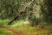 P2855987