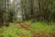 Y2856796
