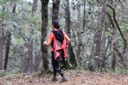 T2855515