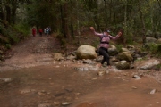 J2861687