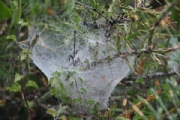 B2868946