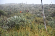 C2867128