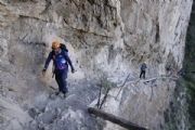 C2876439