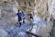 N2876738